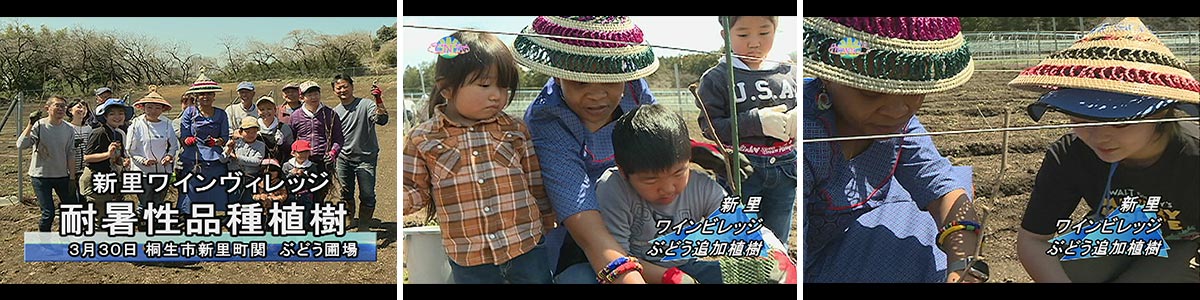 光ケーブルテレビのまちづくり特集